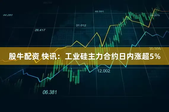 股牛配资 快讯:工业硅主力合约日内涨超5%